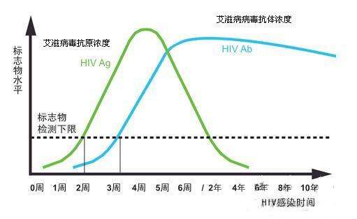 艾滋病毒抗原浓度曲线图