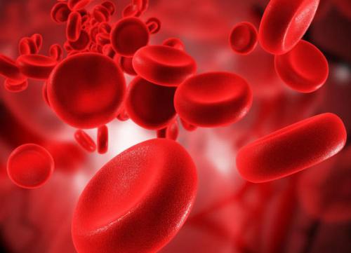 血液中红细胞