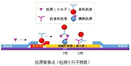 艾滋病快速法有几种：总的来说一种