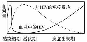 艾滋病42天阴但是有很多症状