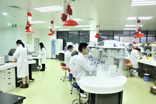 艾滋核酸检测
