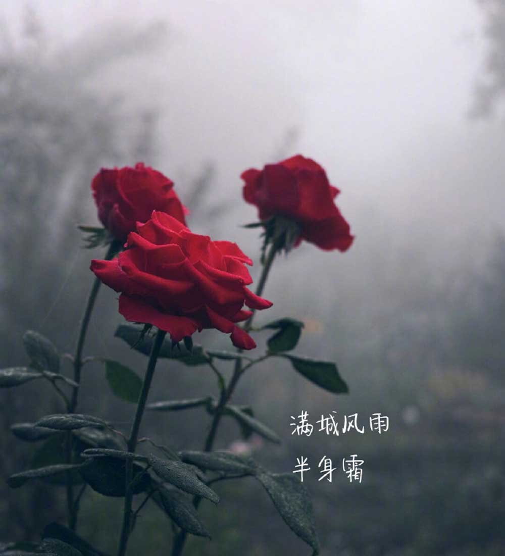 hiv最短症状