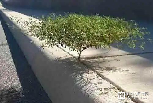 得hiv前的症状