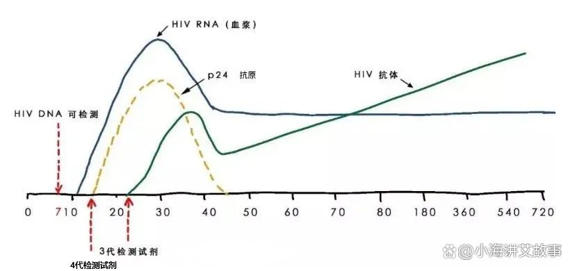 艾滋病核酸检测：rna和dna的区别