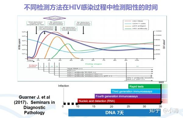 不同检测方法检测HIV阳性的时间