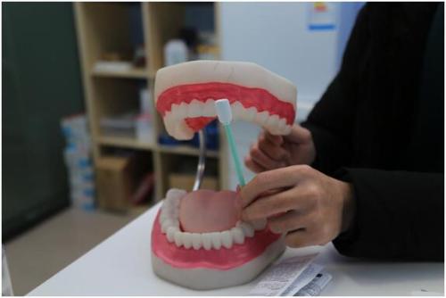 艾滋病唾液试纸使用第三步，擦拭牙龈。
