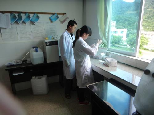 艾滋病五周检查准确率